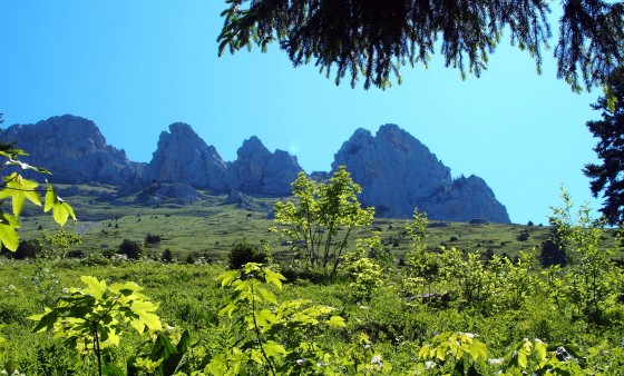 Cabane de Bellefond