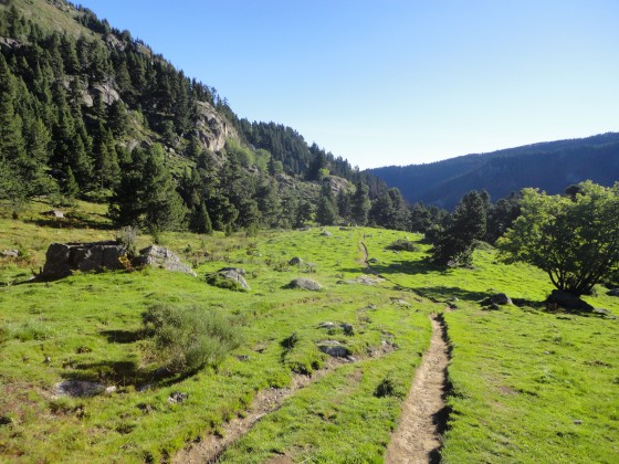 Cabane de Counc
