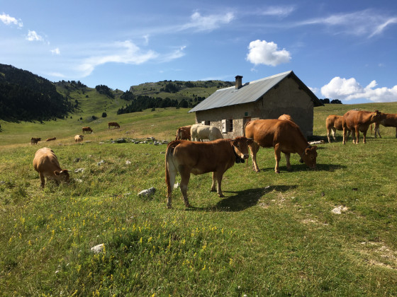 Cabane de l\'Essaure