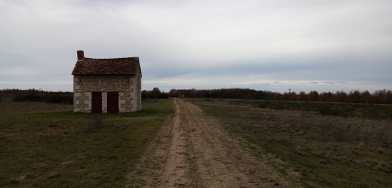 Cabane de vigneron