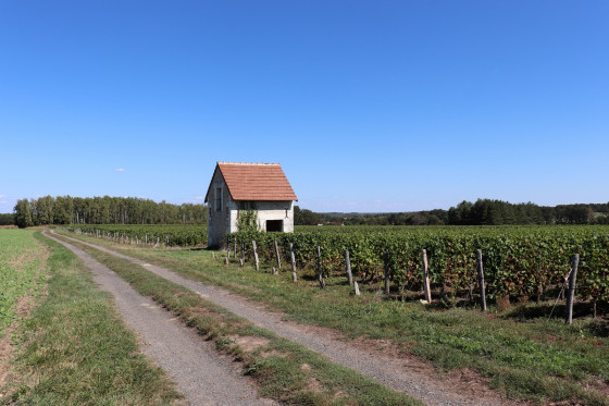 Cabane de vignes entre Fontguenand et Rh&ocirc;ne
