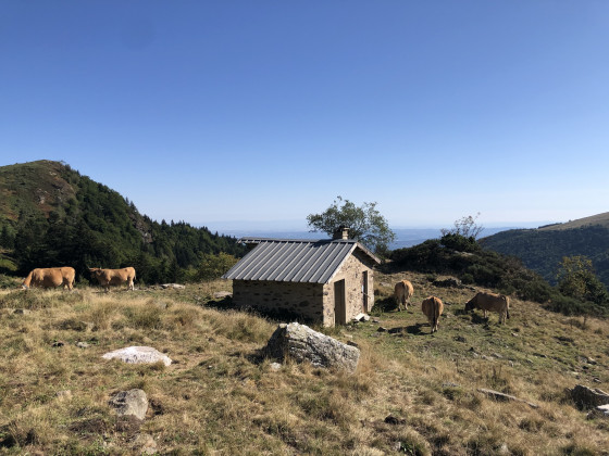 Cabane du Vacher