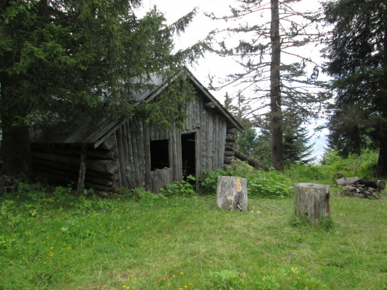 Cabane en rondins