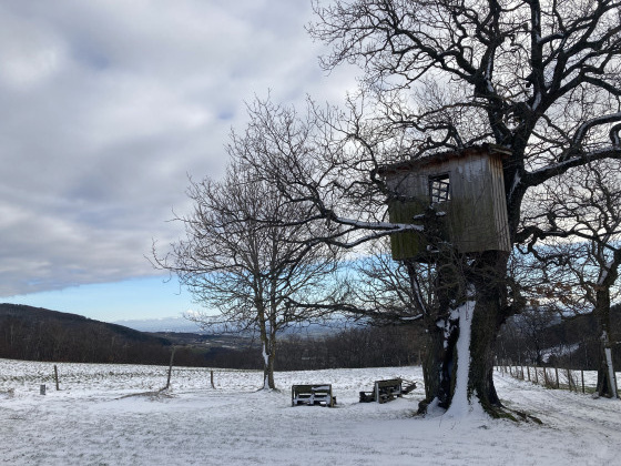 Cabane enneigée