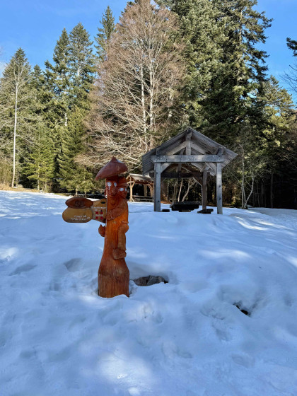 Cabane forestière de la Fullie