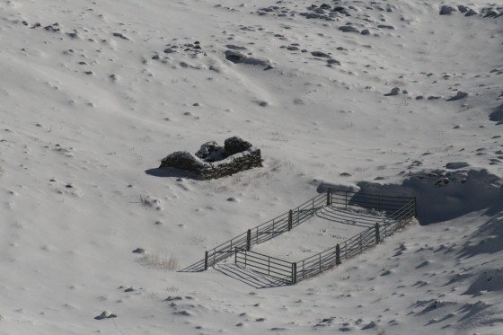 Cabane ruinée de la Toue