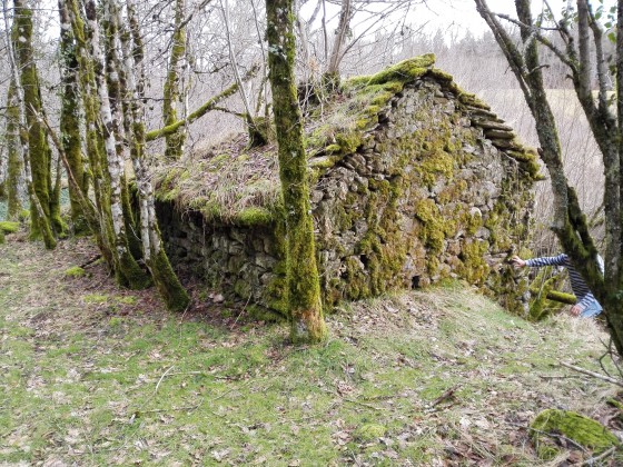 Cabane