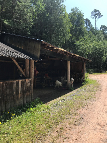Cabane