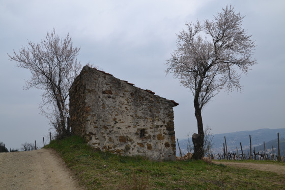 Cabane