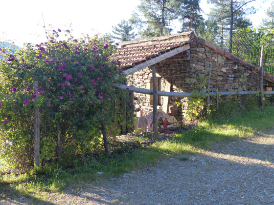 cabane