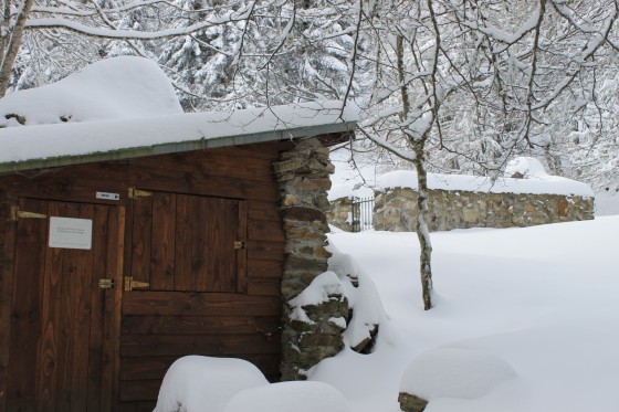 Cabane