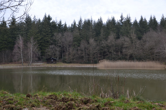 Cabane