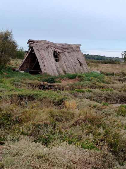 Cabane