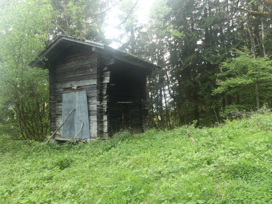 Cabane