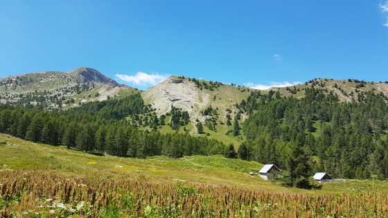 Cabanes de Valdemar