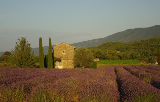 Cabanon provençal