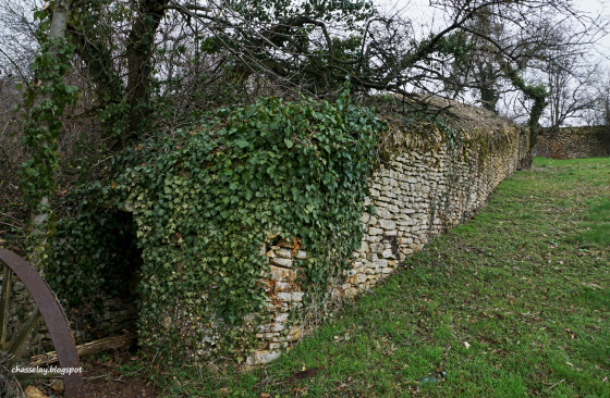 Caborne