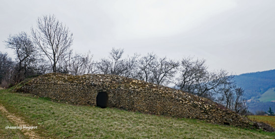 Caborne
