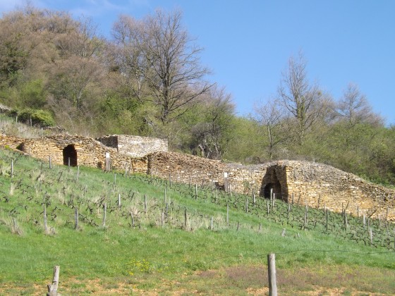 Cabornes