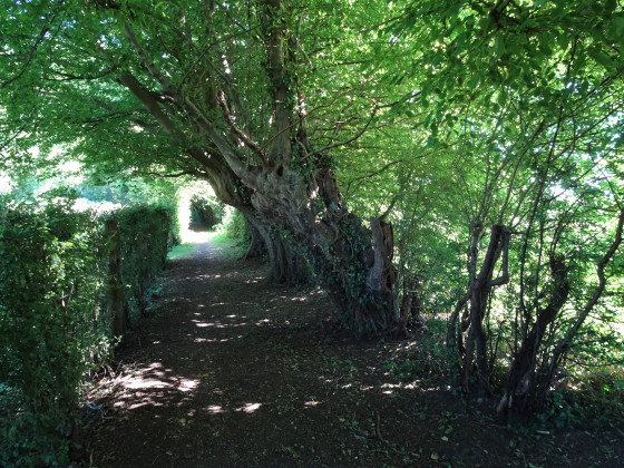 Cache Preux-au-Bois