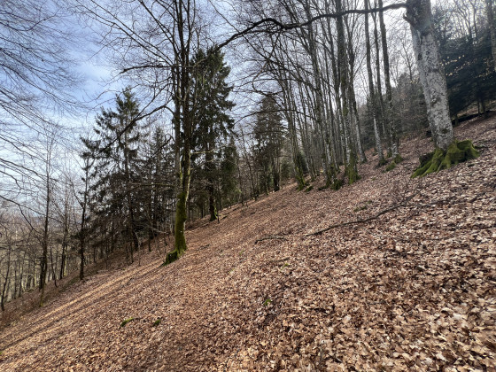 cadre du sentier
