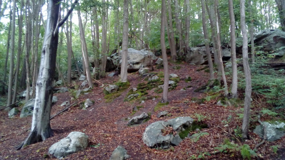 Cahos rocheux