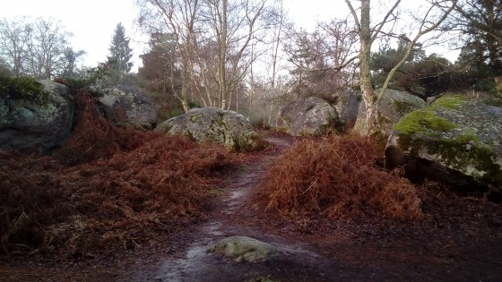 Cahos rocheux