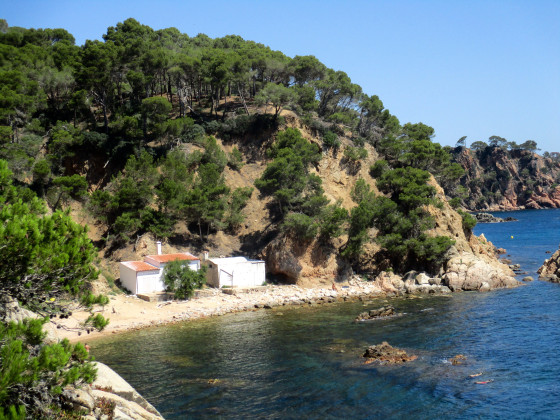 Cala del Crit