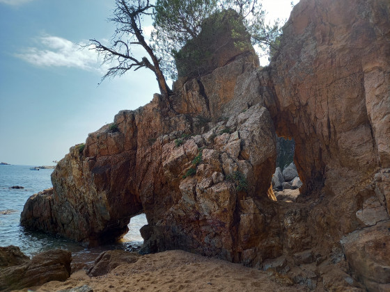 Cala El Crit