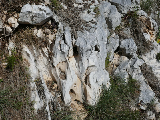 Calcaire caverneux