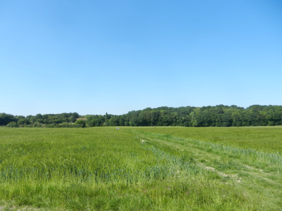 Calme et sérénité