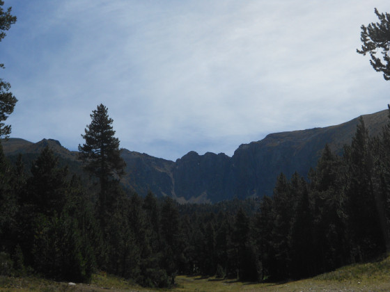 Cambre d'Aze
