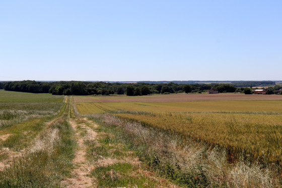 Campagne azélienne