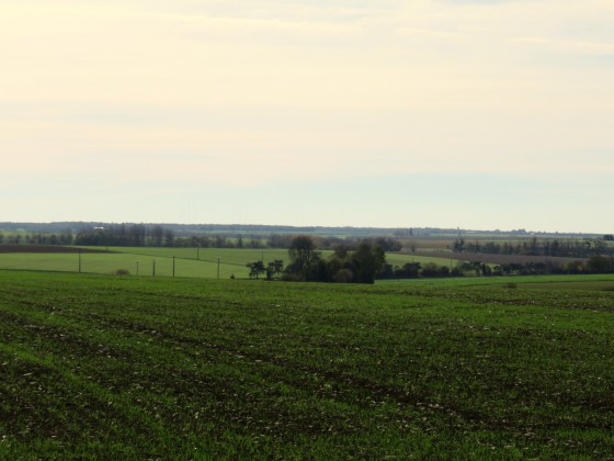 Campagne berrichonne près de Saint-Lactencin