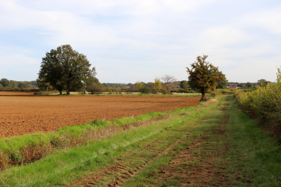Campagne bouessienne