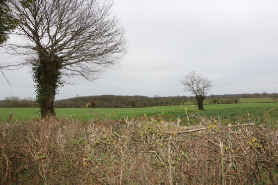 Campagne dans les environs de Fomperron