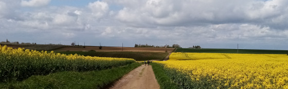 Campagne de Marneffe / Fallais