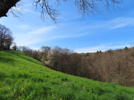 Campagne du S&eacute;gala