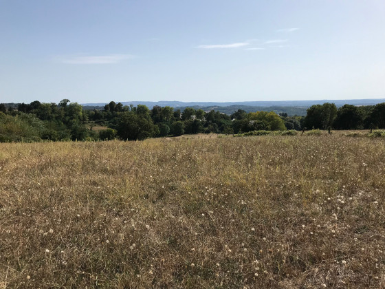 Campagne en été