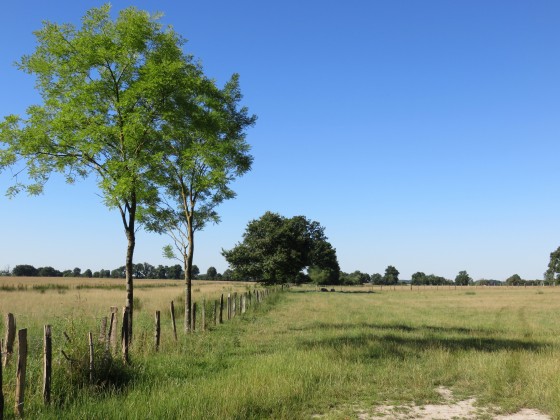 Campagne environnante de Luant