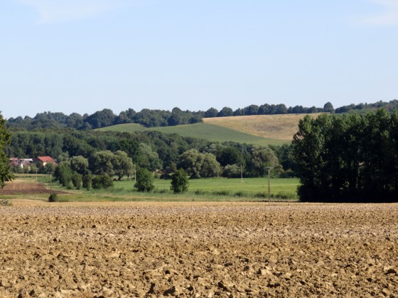 Campagne environnante de Moulins-sur-Céphons