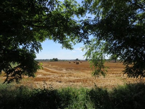Campagne environnante de Paulnay