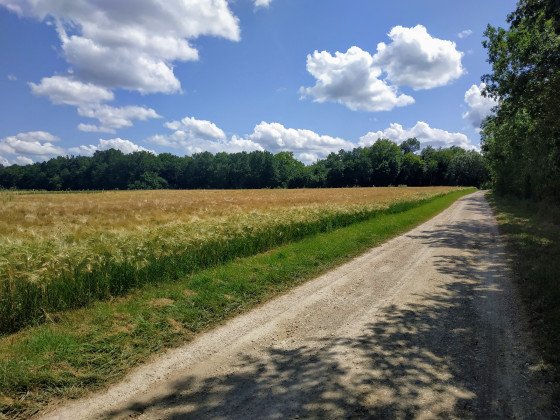 Campagne mathalienne
