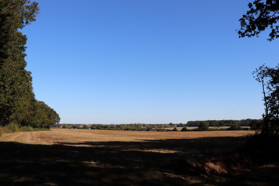 Campagne pr&egrave;s de l'&eacute;tang de la Foulqueti&egrave;re