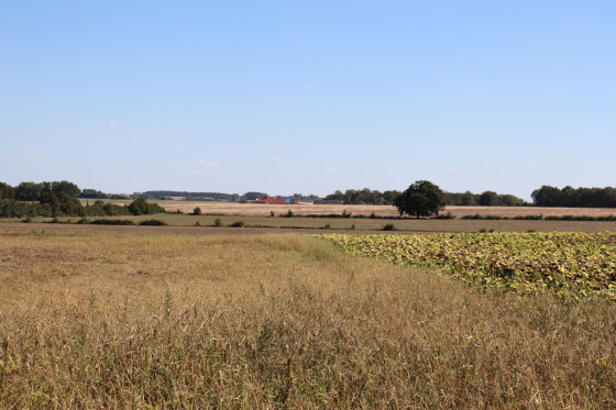 Campagne près de la Drévaudière