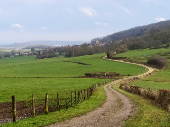 Campagne saônoise