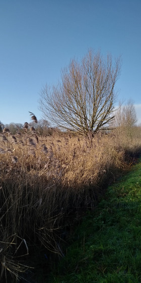 campagne