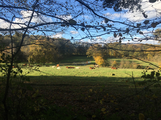 Campagne