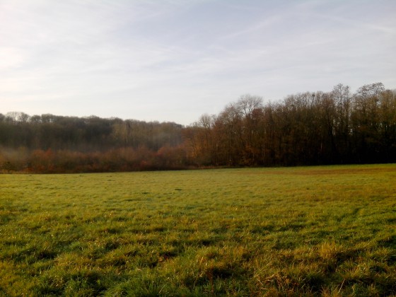 Campagne
