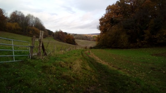 Campagne
